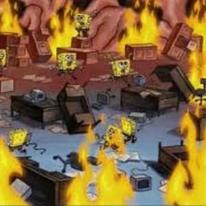 Meet your Posher, Paul